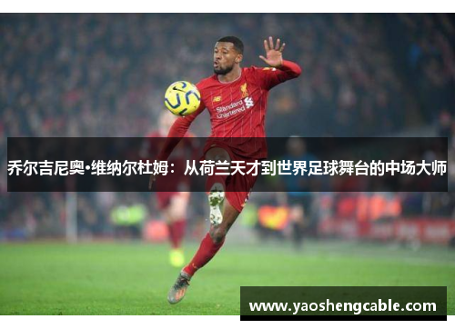 乔尔吉尼奥·维纳尔杜姆：从荷兰天才到世界足球舞台的中场大师