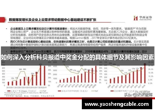 如何深入分析科贝报道中奖金分配的具体细节及其影响因素