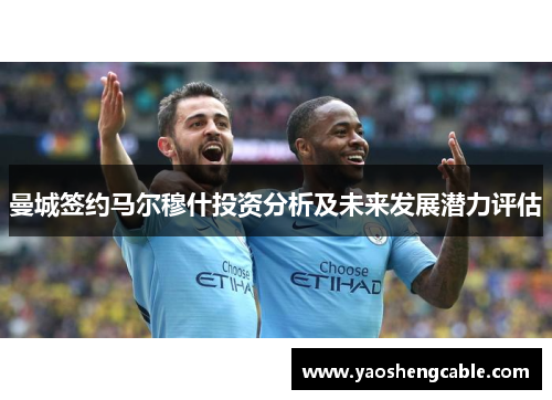 曼城签约马尔穆什投资分析及未来发展潜力评估